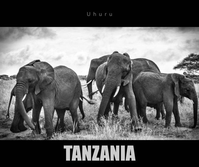 View Tanzania by Steve Wollanup