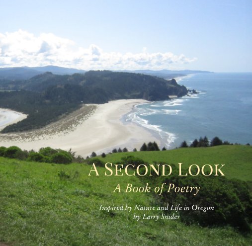 View A Second Look by Larry Snider