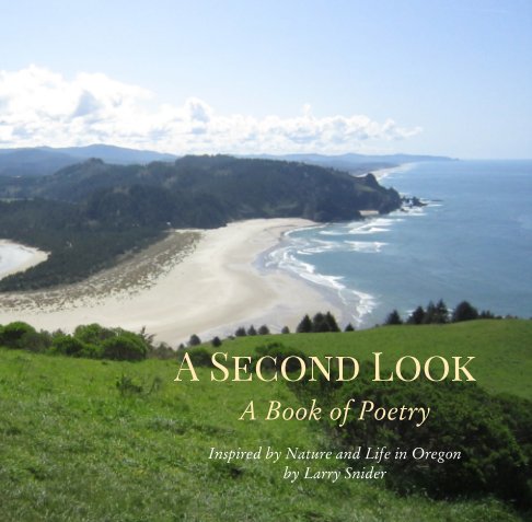 View A Second Look by Larry Snider
