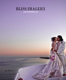 BLISS IMAGERY book cover
