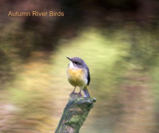 Autumn River Birds book cover