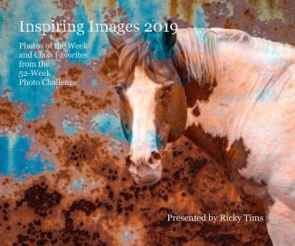 Inspiring Images 2019 book cover