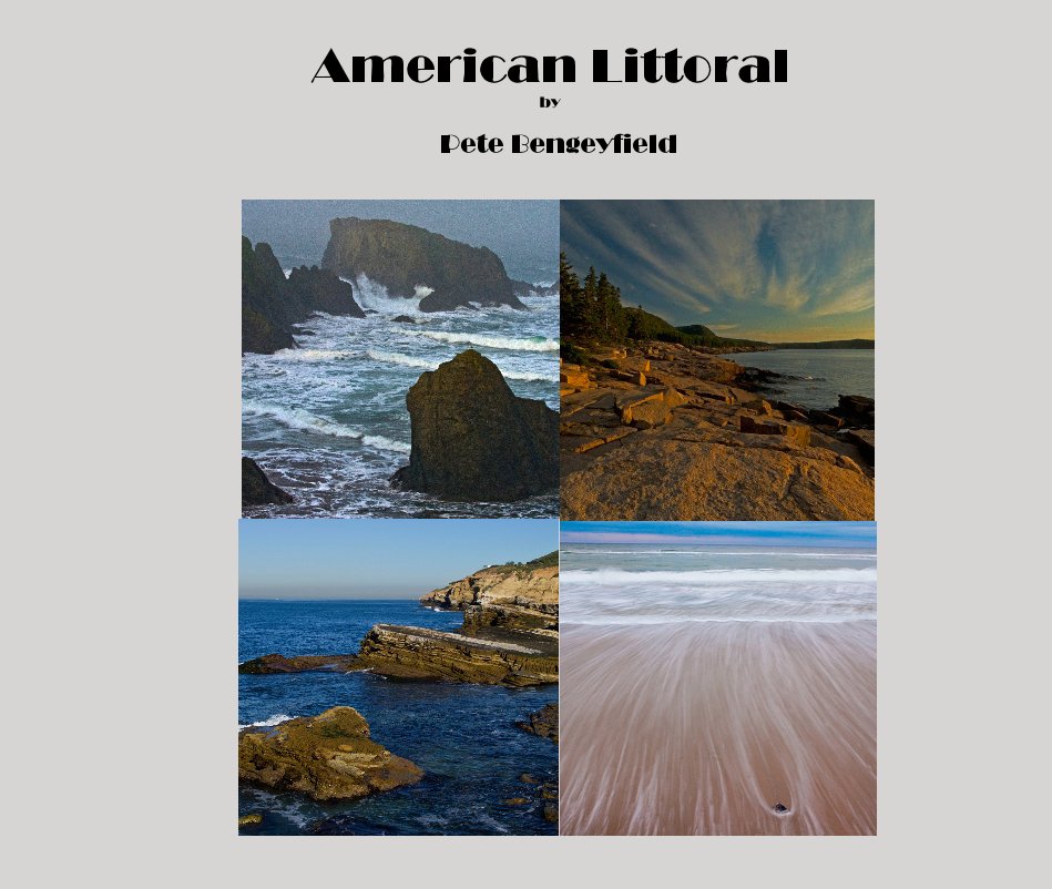 View American Littoral by Pete Bengeyfield