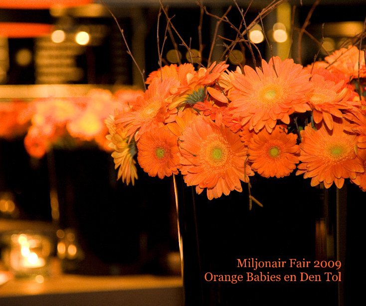 View Miljonair Fair 2009 Orange Babies en Den Tol by ilseouwens