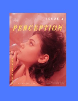 Perception book cover