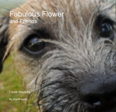 Fabulous Flower and Friends book cover