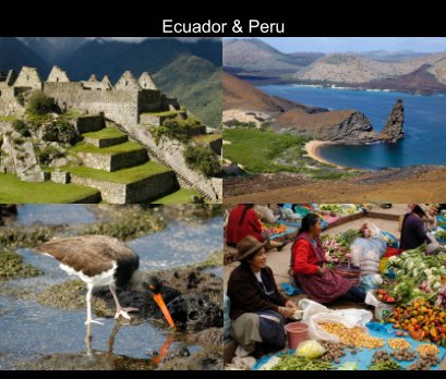 Ecuador and Peru book cover