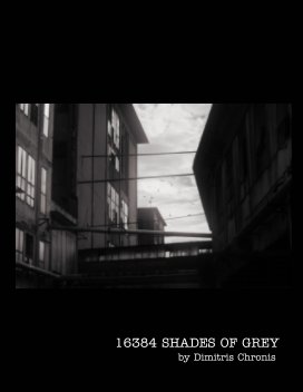 16384 Shades of Grey book cover