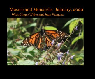 Mexico and Monarchs January, 2020 book cover