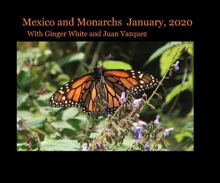 Ver Mexico and Monarchs January, 2020 por Ginger White