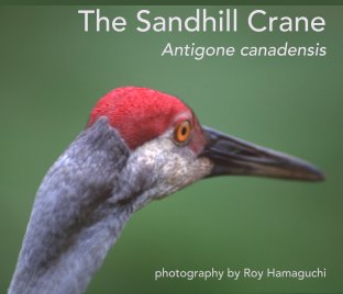 The Sandhill Crane | Antigone canadensis book cover