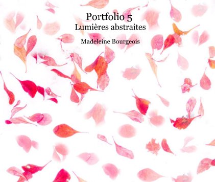 Portfolio 5 Lumières abstraites book cover
