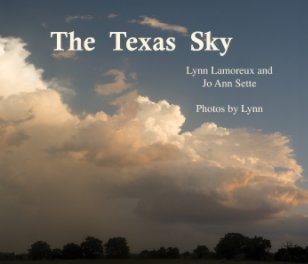 The Texas Sky book cover
