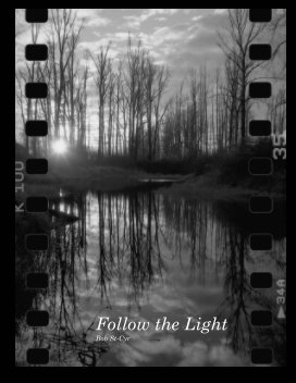 Follow the Light book cover