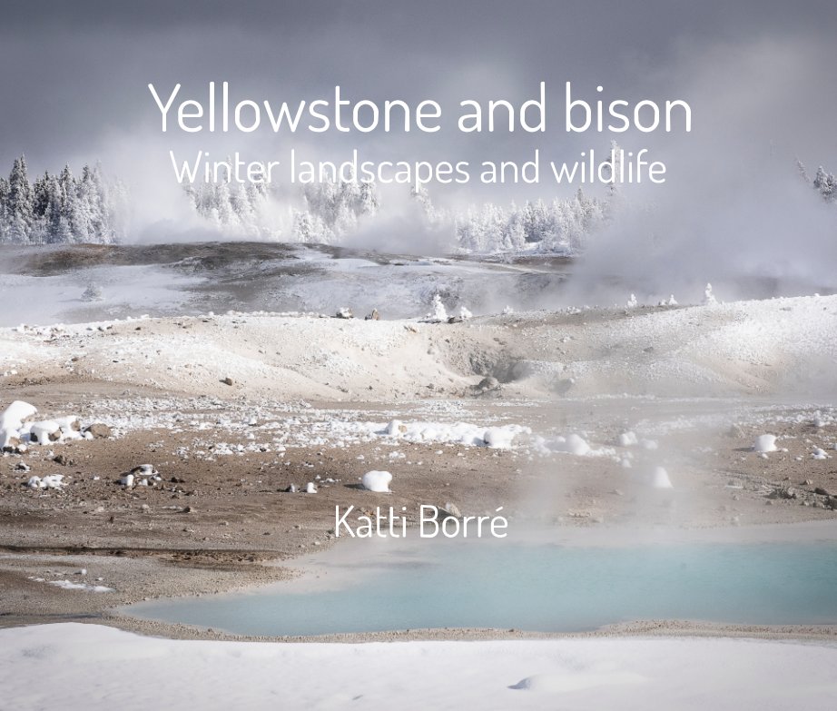 View Yellowstone and Bison by Katti Borre