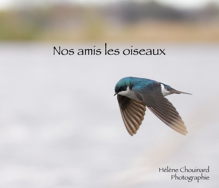 Bekijk Nos amis les oiseaux op Hélène Chouinard