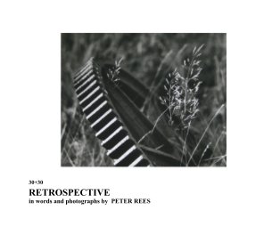 30+30 RETROSPECTIVE in words and photographs by  PETER REES book cover