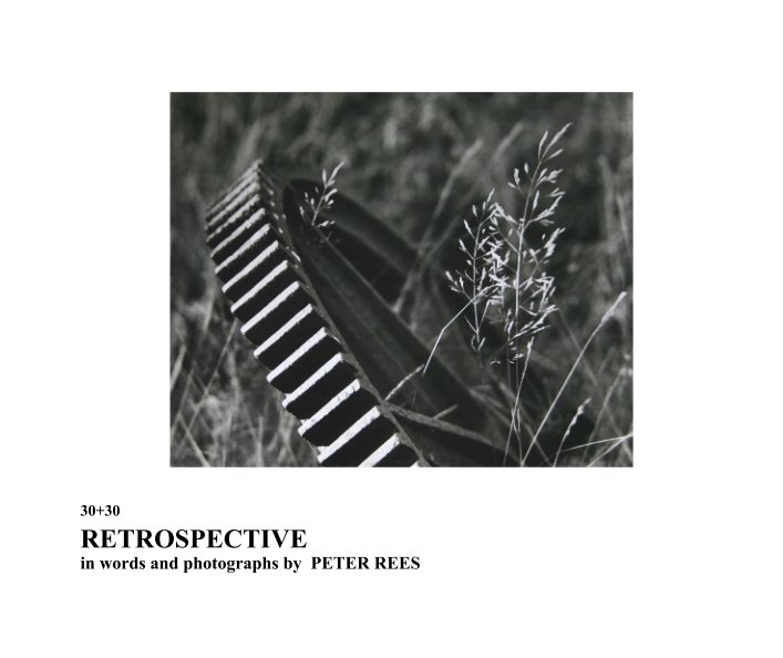 30+30 RETROSPECTIVE in words and photographs by  PETER REES nach rossrees anzeigen