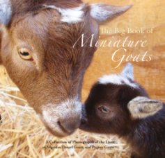 The Big Book of Miniature Goats book cover