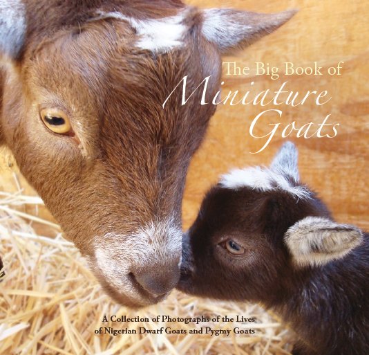View The Big Book of Miniature Goats by Theresa Paden