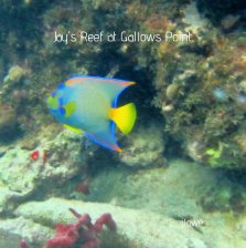Jay's Reef at Gallows Point book cover