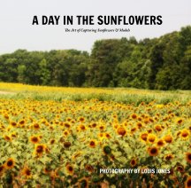 A Day in the Sunflowers: the art of capturing sunflowers and models book cover