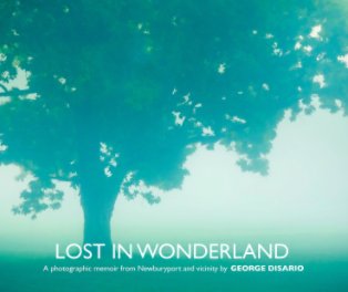 Lost in Wonderland book cover