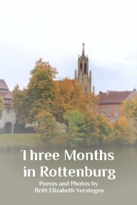 Three Months in Rottenburg book cover