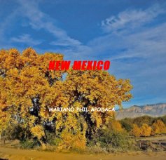 NEW MEXICO book cover