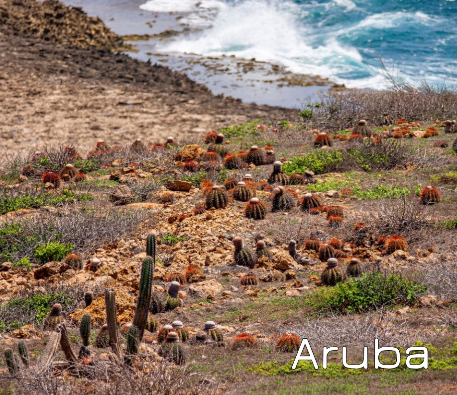 Aruba nach Chris and Marty Migliaccio anzeigen