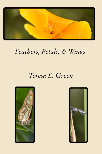 View Feathers, Petals, and Wings by Teresa E. Green