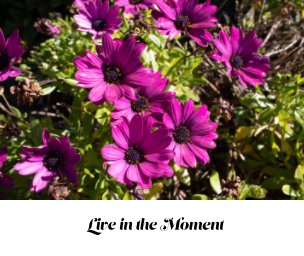 Live in the Moment book cover