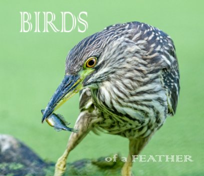 Birds of a Feather book cover