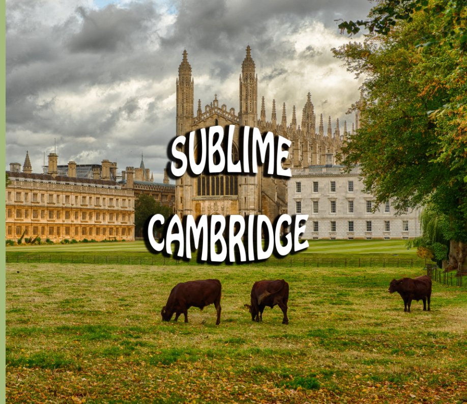 View Sublime Cambridge by Bill Reid