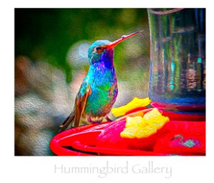 Hummingbird Gallery book cover