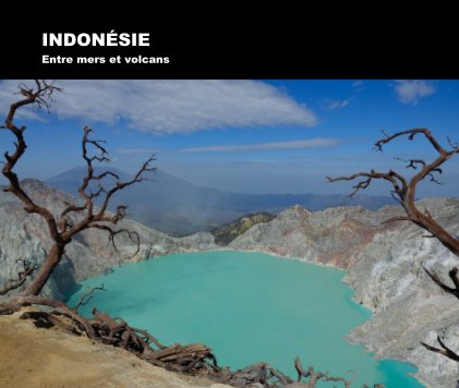 Indonésie book cover