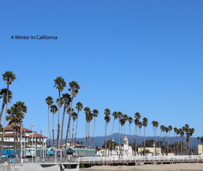 View A Winter in California by Charles Kwong