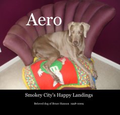 Aero book cover