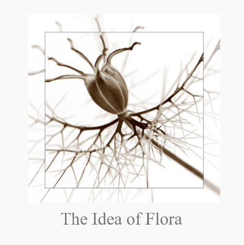 View The Idea of Flora by Steve Appleton