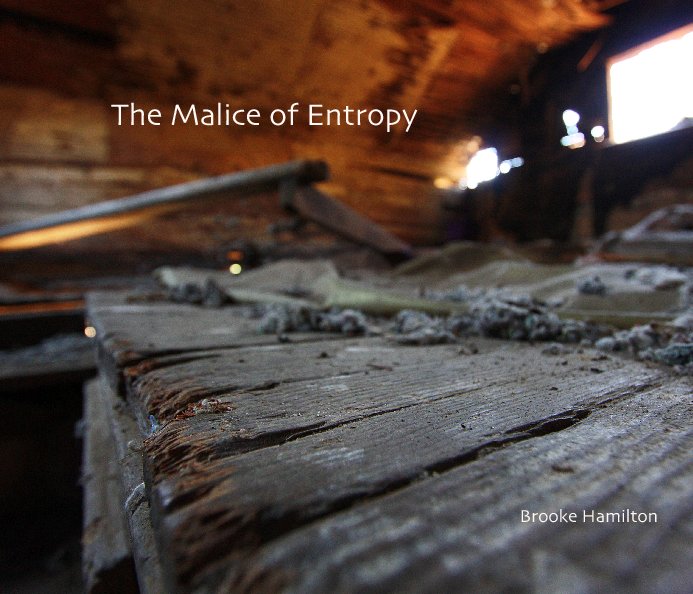 View The Malice of Entropy by Brooke Hamilton