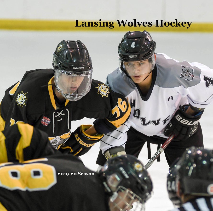 View Lansing Wolves Hockey by Art Frith