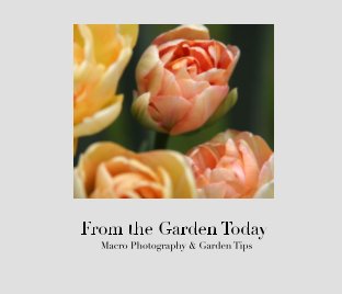 From the Garden Today book cover