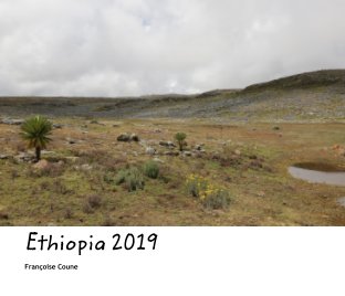 Ethiopia 2019 book cover