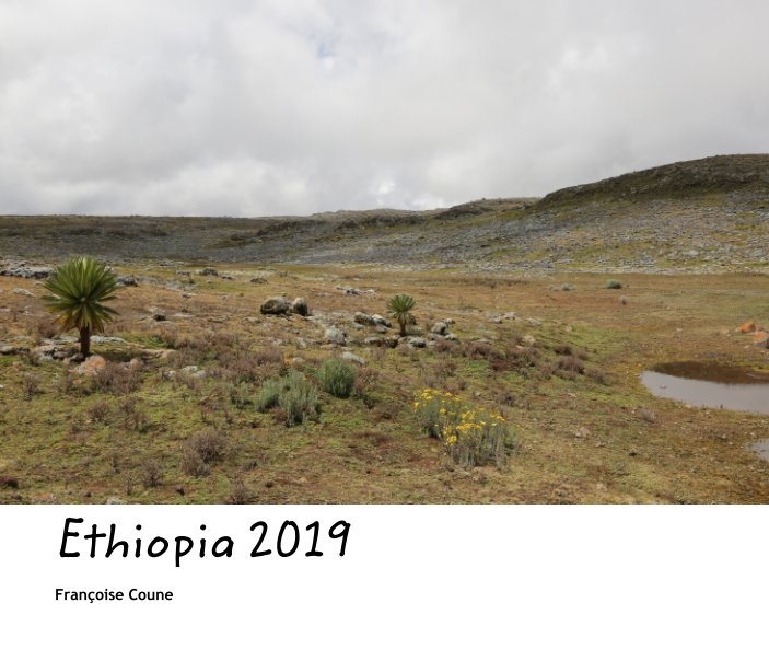 Ver Ethiopia 2019 por Françoise Coune