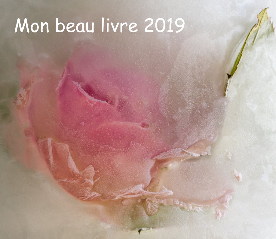 View Mon beau livre 2019 by jean-pierre riffon