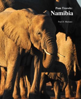 Pom Travels: Namibia book cover