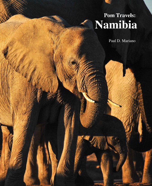 Visualizza Pom Travels: Namibia di Paul D. Mariano