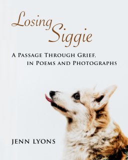 Losing Siggie_SoftCover book cover