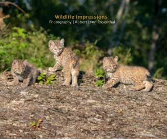 Wildlife Impressions Photography | Robert Lynn Rosenthal book cover