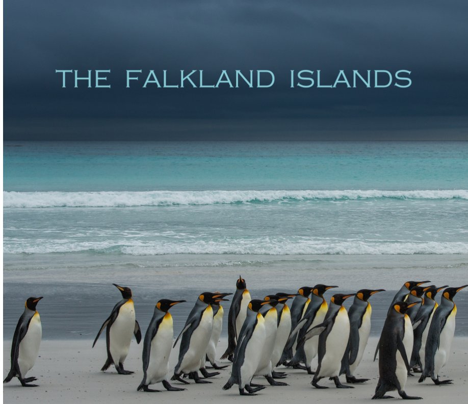 Visualizza The Falkland Islands di Audrey and Russell Price